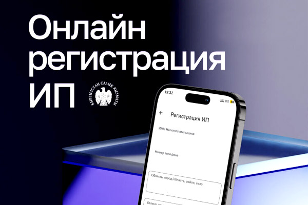 В Кыргызстане запущен сервис по онлайн-регистрации предпринимателей